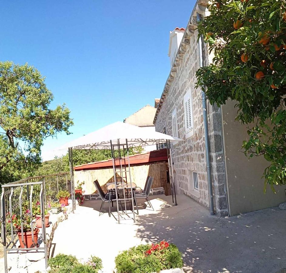 Holiday Apartments Maslina Paho Babino Polje Exterior foto