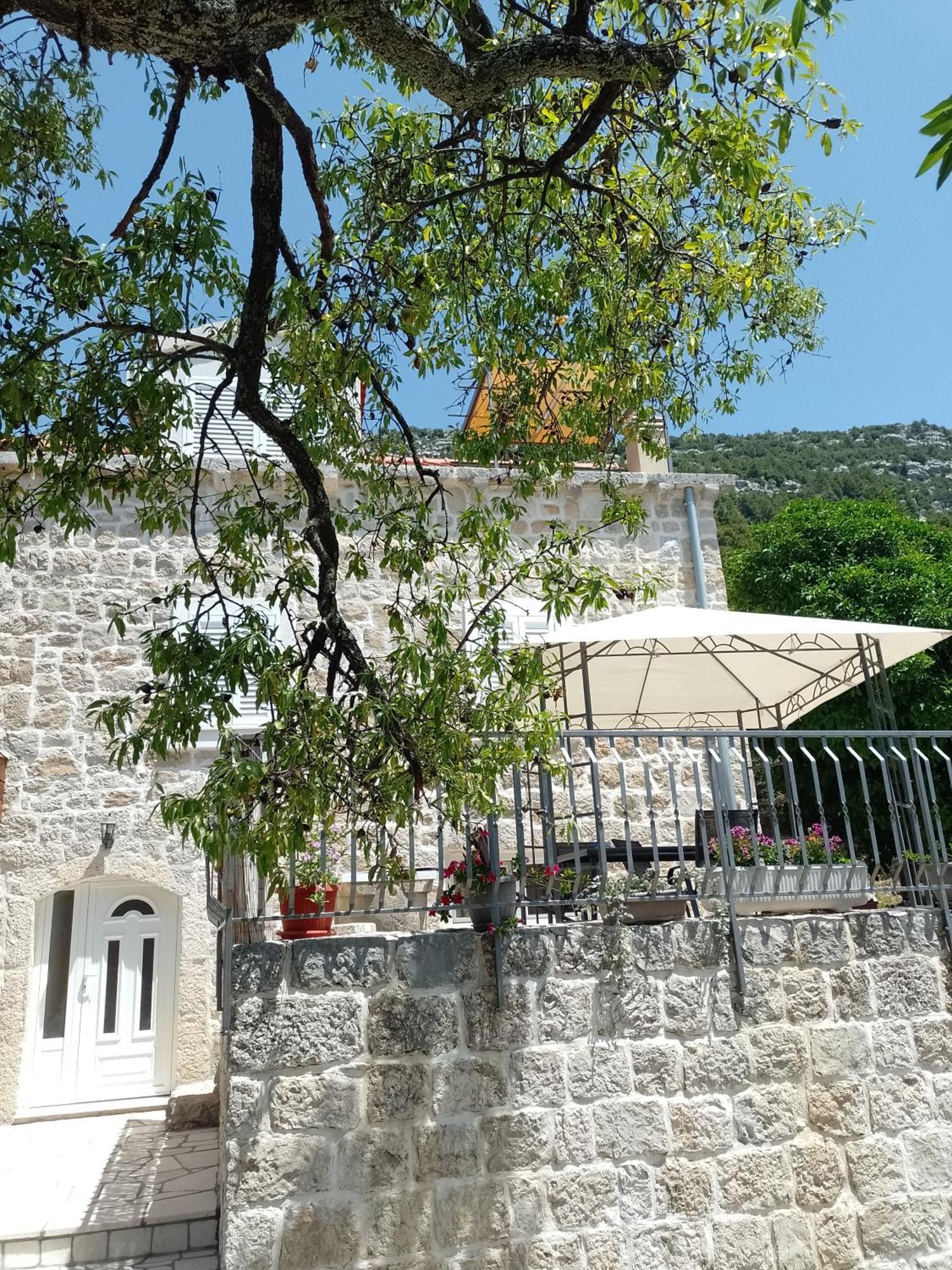 Holiday Apartments Maslina Paho Babino Polje Exterior foto