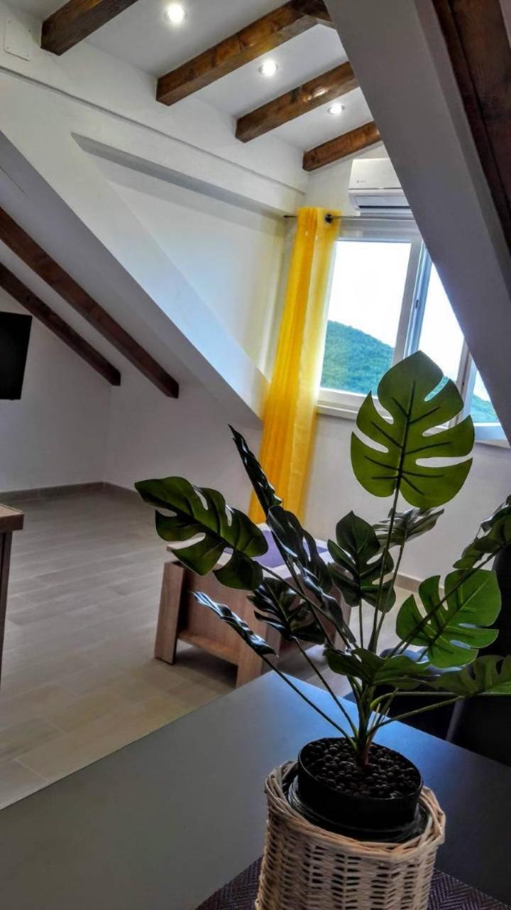 Holiday Apartments Maslina Paho Babino Polje Exterior foto